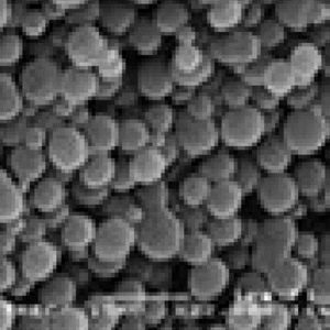نانو محلول سلنیوم  1000ppm Nano_Se (Liquid)